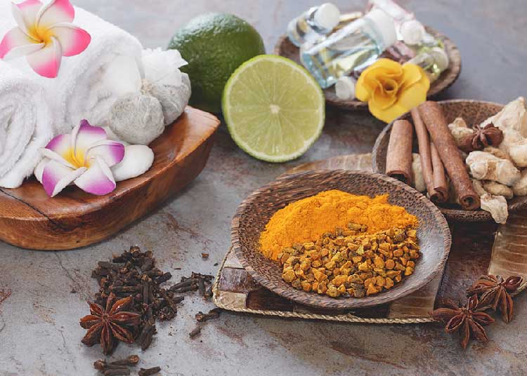 گیاهان دارویی در طب سنتی